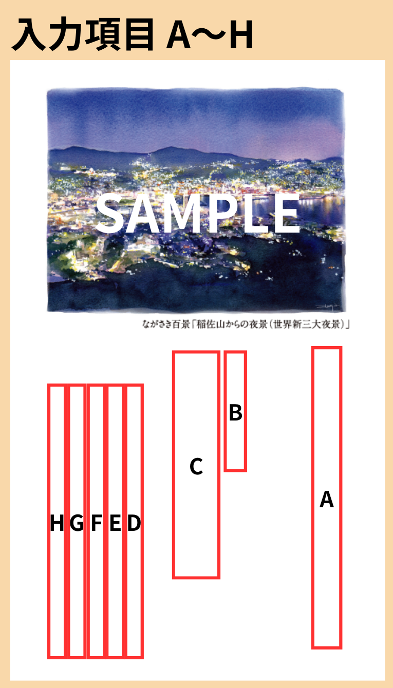 入力項目(拡大画像)